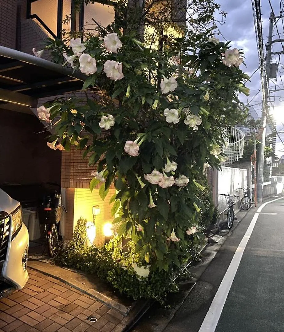 新宿安靜の家-A Quiet Home In Shinjuku - A 26 Square Meter Double Bed Room That Feels Like Home Tokyo Japan