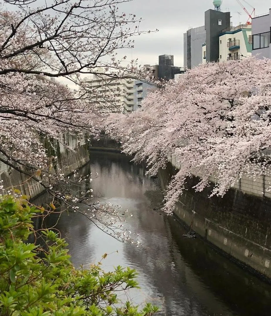 Apartment 新宿安靜の家-A Quiet Home In Shinjuku - A 26 Square Meter Double Bed Room That Feels Like Home Tokyo