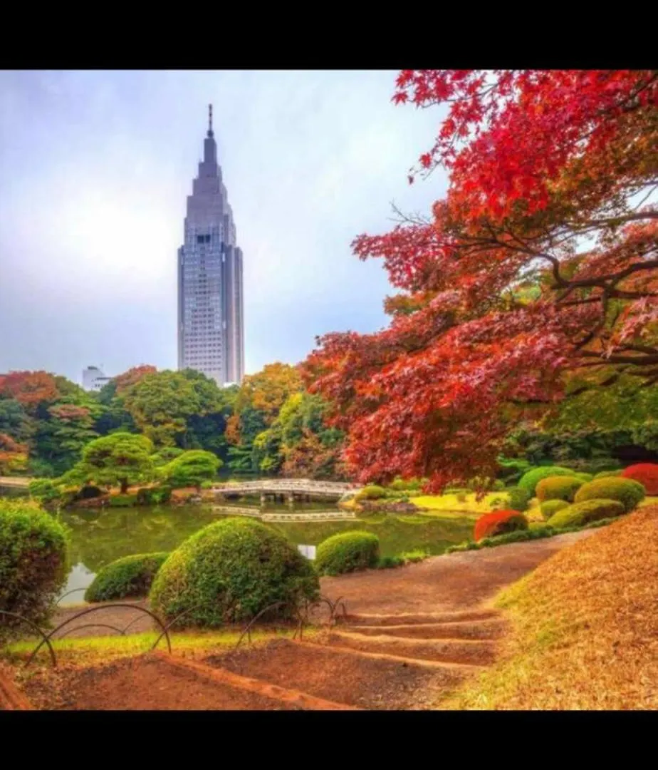 新宿安靜の家-A Quiet Home In Shinjuku - A 26 Square Meter Double Bed Room That Feels Like Home Tokio